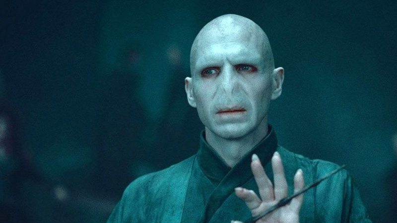Why Does Voldemort Look Like A Snake