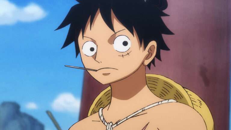 Is Monkey D. Luffy Gay, Streight, Bisex Or Asexual? Revealed