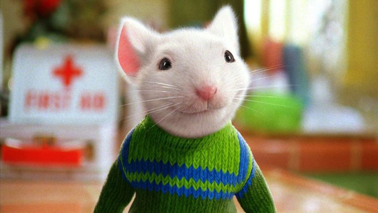 Stuart Little Was Never Really a Mouse, and That Changes Everything